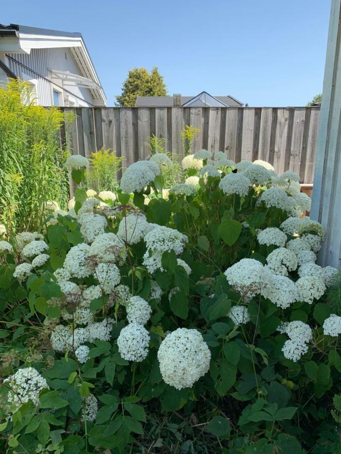 Private House Parking Garden Sea Nature 馬爾默 外观 照片